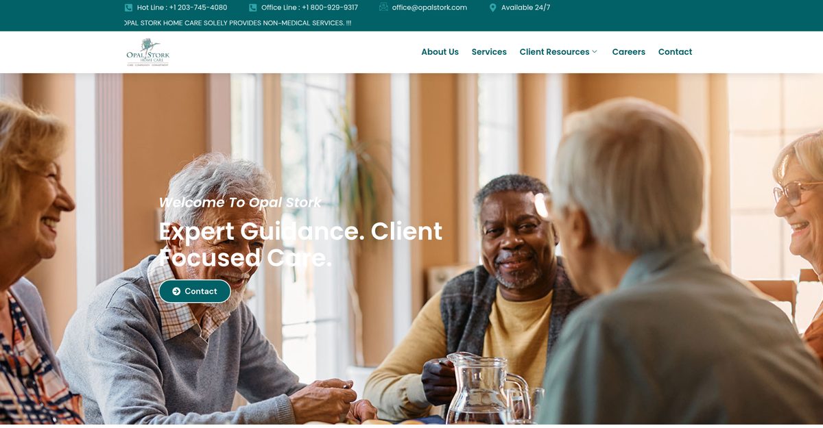 Opal Stork Home Care project screenshot